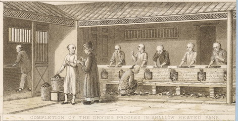 Chinese tea industry. Date: circa 1840