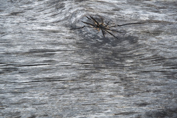 old Wooden pattern