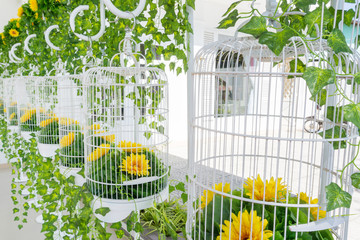 The White Bird Cages Decoration