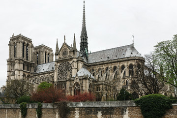 Fototapeta na wymiar Notre Dame de Paris in cloudy day. Landmarks of Paris. France