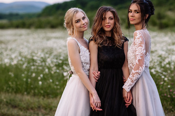 three beautiful girls brunette and blonde,brown-haired woman enjoying Daisy field,nice long dresses, pretty girl relaxing outdoor, having fun, happy young lady and Spring green nature, harmony concept