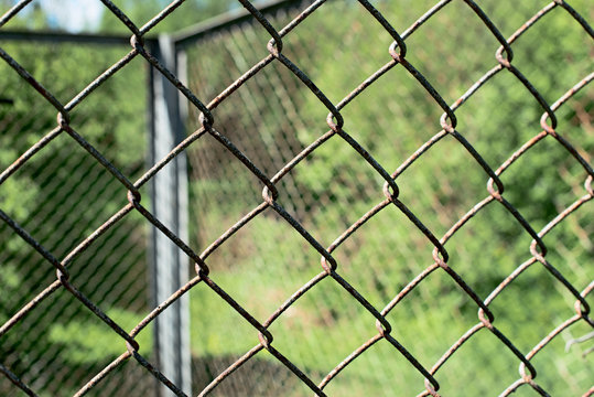 Wire mesh with blurred green background behind