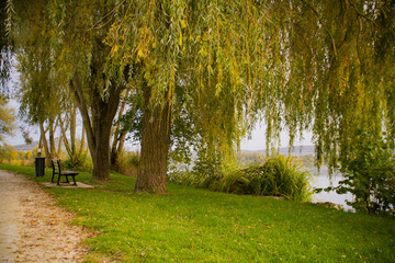 Lac de Vesoul Vaivre