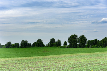 Beautiful Countryside Landscape  in Urkraine on a Cloudy Day 