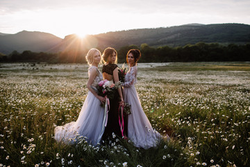 Fototapeta na wymiar three beautiful girls brunette and blonde,brown-haired woman enjoying Daisy field,nice long dresses, pretty girl relaxing outdoor, having fun, happy young lady and Spring green nature, harmony concept