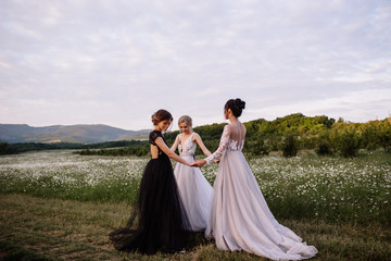 three beautiful girls brunette and blonde, brown-haired woman enjoying Daisy field, nice long dresses, pretty girl relaxing outdoor, having fun,happy young lady and Spring green nature,harmony concept