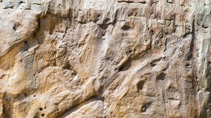 Clay texture