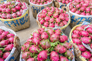 The dragon fruits arrange into bamboo basket