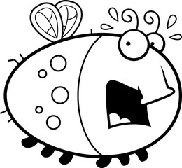 Scared Cartoon Fly