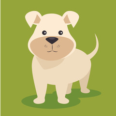 Obraz na płótnie Canvas cute puppy dog cartoon vector illustration graphic design