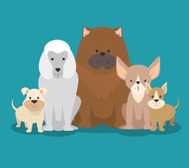 cute puppy dog cartoon vector illustration graphic design