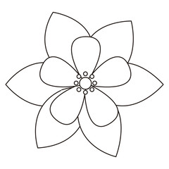 Isolated flower outline