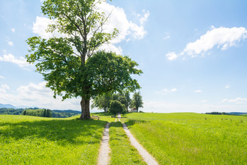 Path through field to small church on a cemetery, Dietramszell, Bavaria, Germany