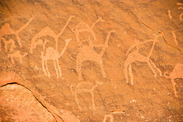 Wadi Rum petroglyphs rock art, found in in southern Jordan