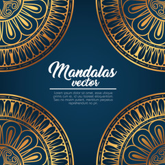 mandala vintage template  vector illustration graphic design