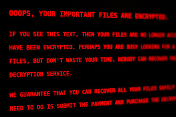 Computer virus Petya.A. Lock screen.