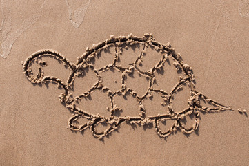 turtle. Hand drawn with stick on sand on beach. Beach background. Top view