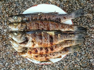 Six crisp grilled European bass