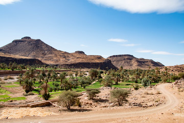 Oasis in the Sahara Desert in Morocco