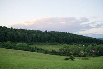 Fototapeta premium Green meadow with trees and views to mountains. Slovakia