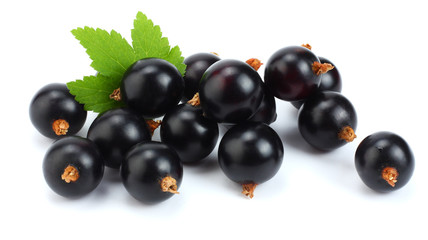 black currant with green leaf isolated on white background