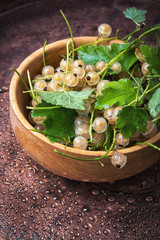 summer currant berries