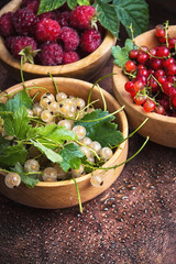 red and white currant berries