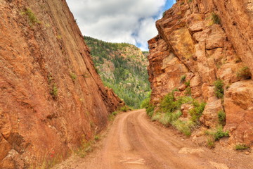 Dirt Road in the Rockys