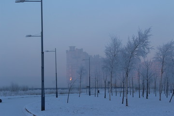 Sunset in a winter park on the edge of the city