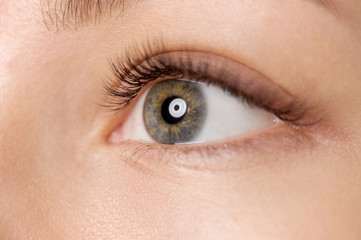 Fototapeta na wymiar Closeup shot of female eye with day makeup