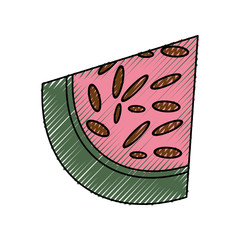 Delicious watermelon fruit