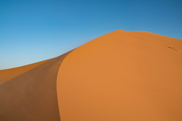 Fototapeta na wymiar Golden dunes of Erg Chebbi, Morocco