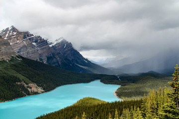 Naklejka premium Peyto Lake, Banff National Park, Canada