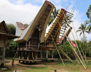 Houses in Toraja, Sulawesi, Indonesia with boat-shaped roofs.