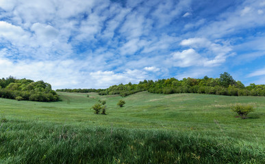 Fototapeta na wymiar Green valley