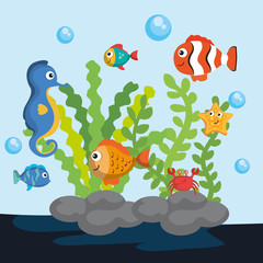 Fototapeta na wymiar Sea life design with colorful sea creatures vector illustration 