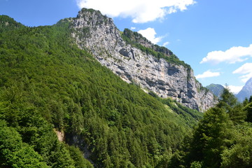 Fototapeta na wymiar Erto - Dolomiti Friulane (val Zemola)