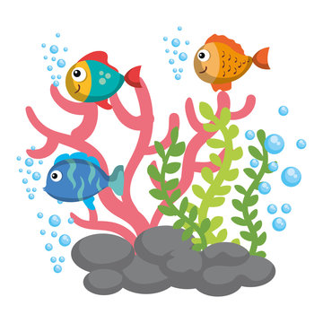 Sea life design with colorful sea creatures vector illustration 