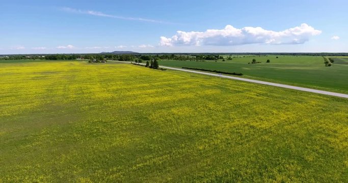 Flying over yellow raps fields to the European E20 route. Expressway from Narva to Tallinn in Estonia, Europe