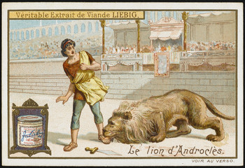 Androcles - Lion