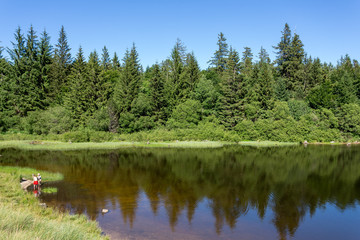 un lac de montagne entouré de sapin avec deux enfants jouant au bord de l'eau