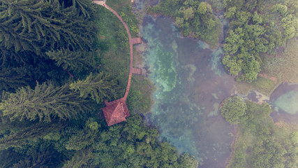 Aerial view of a forest with lake.