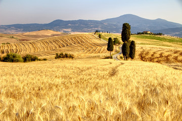 Paesaggio da film © Marco