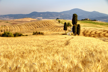 Paesaggio da film