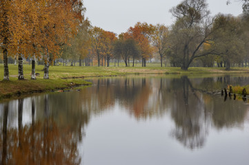 Fototapeta na wymiar Rainy landscape in autumn, birch trees and reflection in water