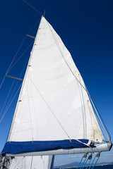 Obraz premium white sail against the blue sky