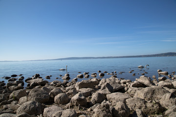 Lago di Bracciano, costa lato nord © nidafoto