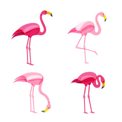 Naklejka premium Pink flamingo set isolated on white background. Vector hand drawn doodle illustration. Flamingo birds in various poses.