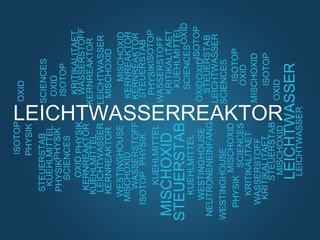 Leichtwasserreaktor