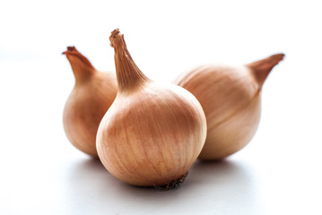 Onion on white background isolated.